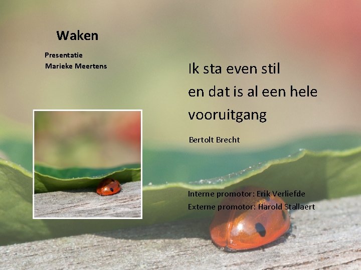 Waken Presentatie Marieke Meertens Ik sta even stil en dat is al een hele