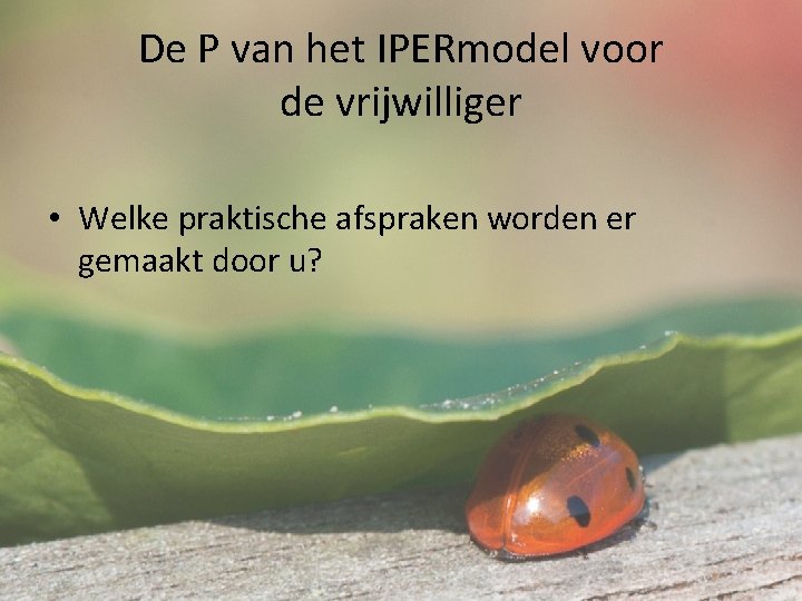 De P van het IPERmodel voor de vrijwilliger • Welke praktische afspraken worden er