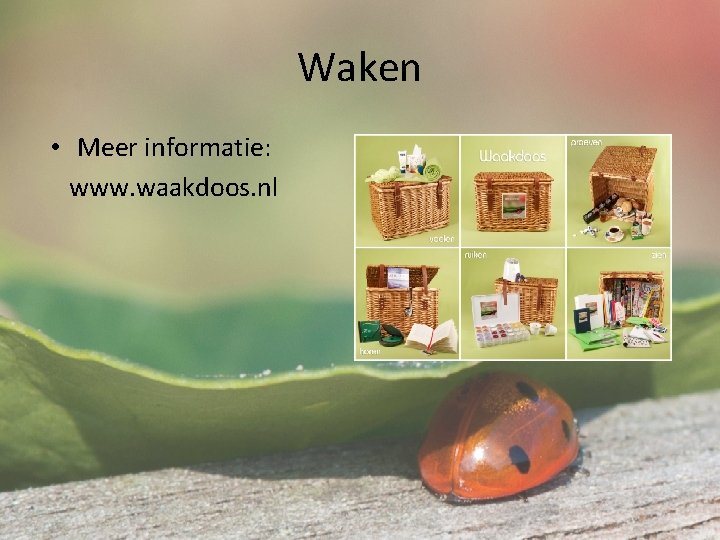 Waken • Meer informatie: www. waakdoos. nl 