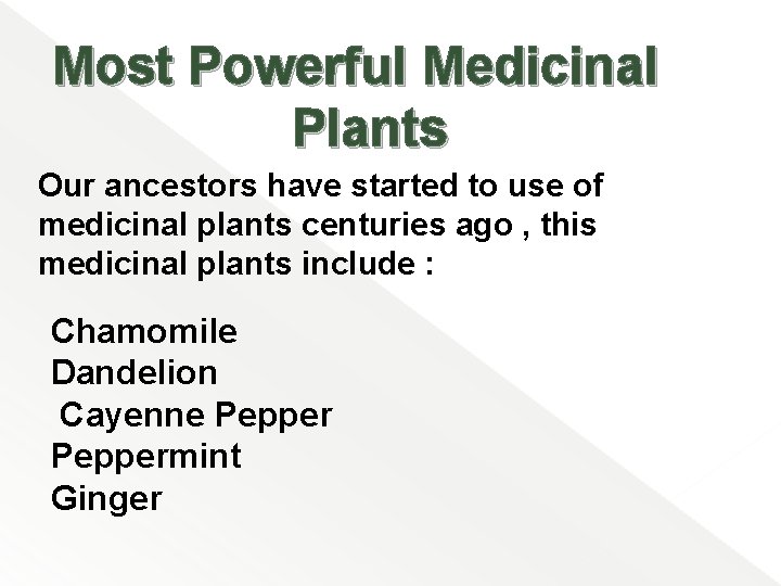 Most Powerful Medicinal Plants Our ancestors have started to use of medicinal plants centuries