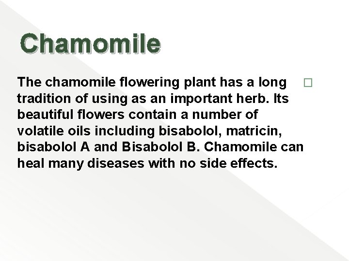 Chamomile The chamomile flowering plant has a long � tradition of using as an