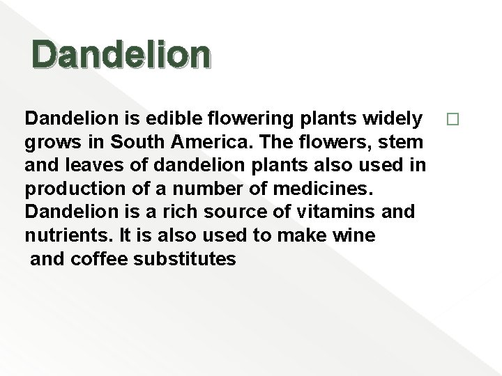 Dandelion is edible flowering plants widely � grows in South America. The flowers, stem