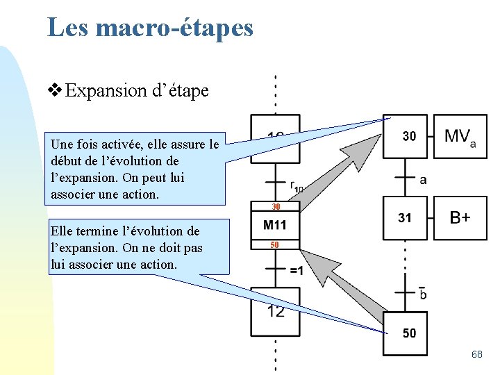 Les macro-étapes v Expansion d’étape Une fois activée, elle assure le début de l’évolution