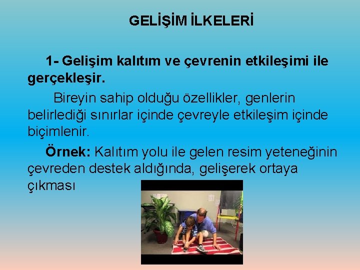 GELİŞİM İLKELERİ 1 - Gelişim kalıtım ve çevrenin etkileşimi ile gerçekleşir. Bireyin sahip olduğu