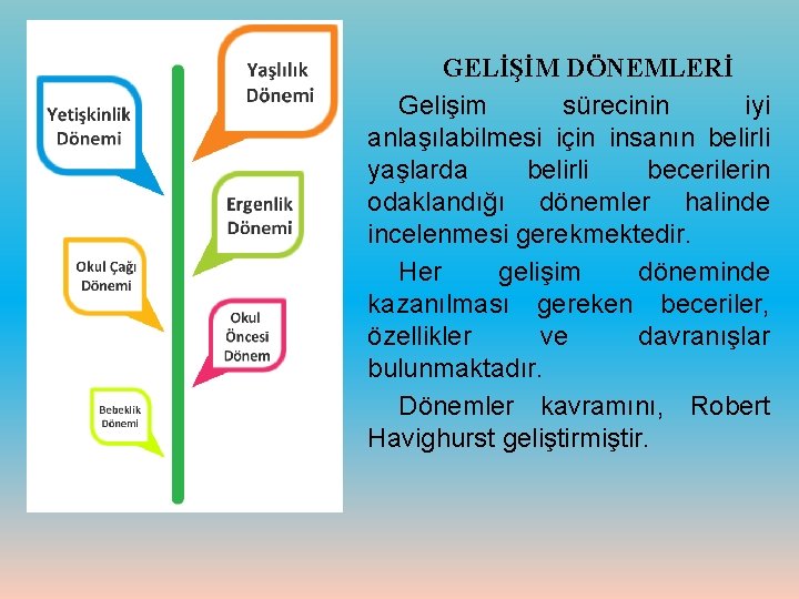 GELİŞİM DÖNEMLERİ Gelişim sürecinin iyi anlaşılabilmesi için insanın belirli yaşlarda belirli becerilerin odaklandığı dönemler