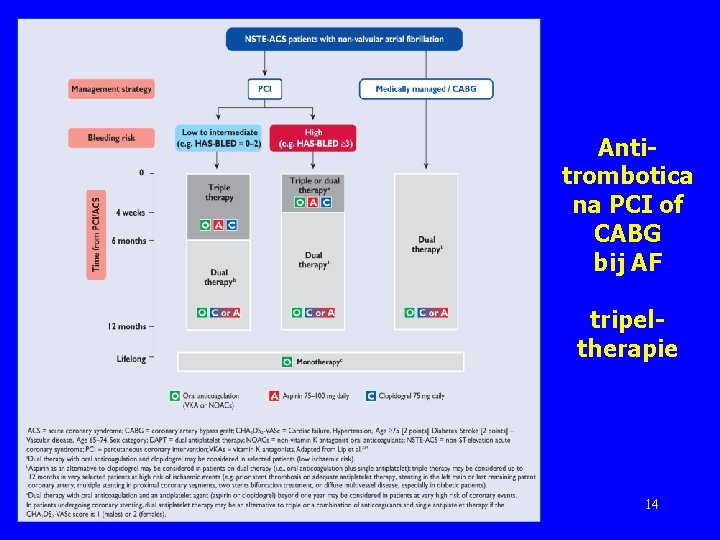 Antitrombotica na PCI of CABG bij AF tripeltherapie 14 