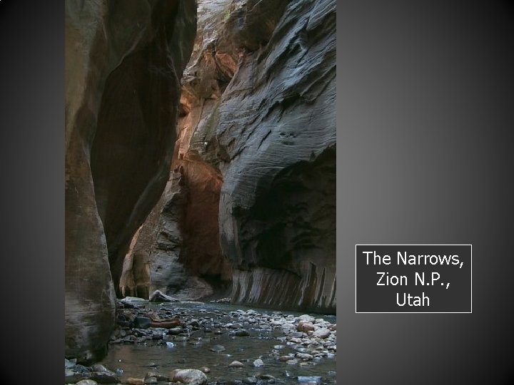 The Narrows, Zion N. P. , Utah 