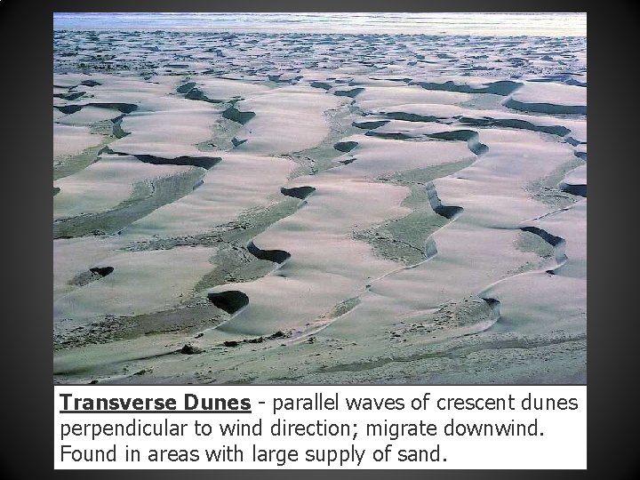 Transverse Dunes - parallel waves of crescent dunes perpendicular to wind direction; migrate downwind. Transverse Dunes - parallel waves of crescent dunes perpendicular to wind direction; migrate downwind.