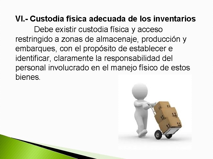 VI. - Custodia física adecuada de los inventarios Debe existir custodia física y acceso