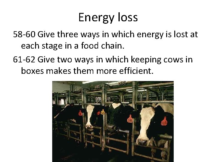 Energy loss 58 -60 Give three ways in which energy is lost at each Energy loss 58 -60 Give three ways in which energy is lost at each