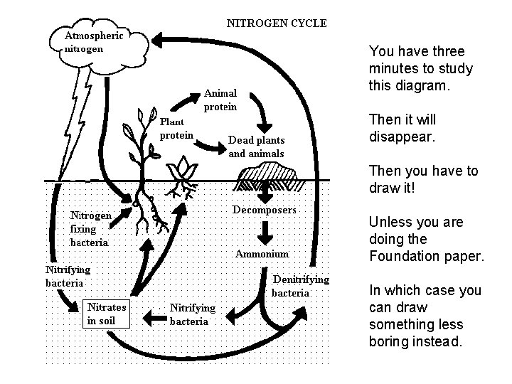You have three minutes to study this diagram. Then it will disappear. Then you You have three minutes to study this diagram. Then it will disappear. Then you