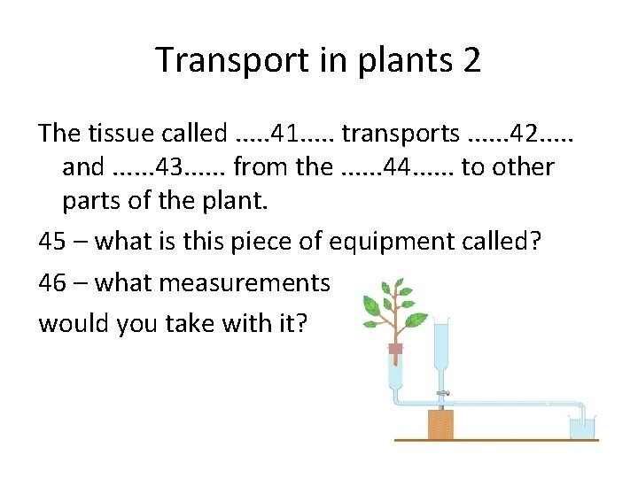 Transport in plants 2 The tissue called. . . 41. . . transports. . Transport in plants 2 The tissue called. . . 41. . . transports. .