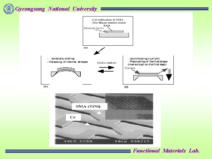 Gyeongsang National University Functional Materials Lab. 