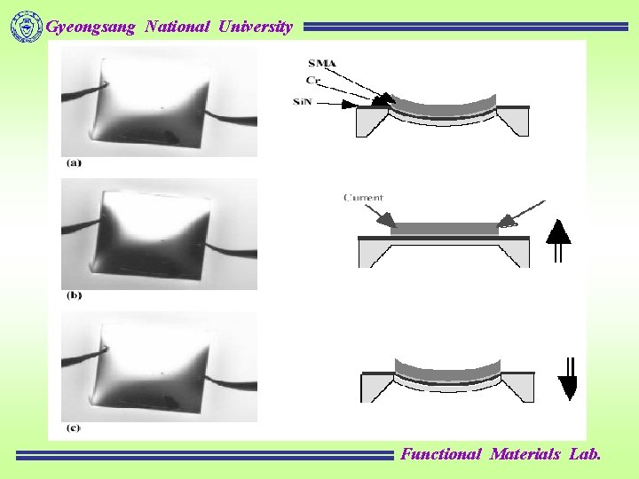 Gyeongsang National University Shape memory alloys Functional Materials
