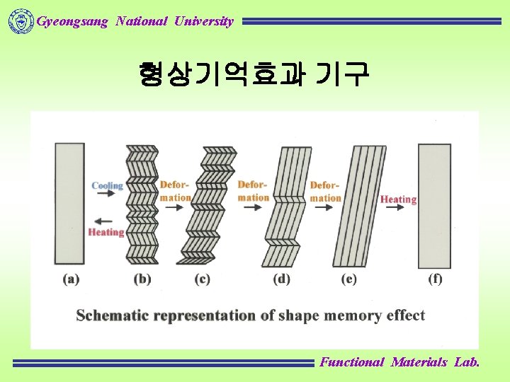 Gyeongsang National University 형상기억효과 기구 Functional Materials Lab. 