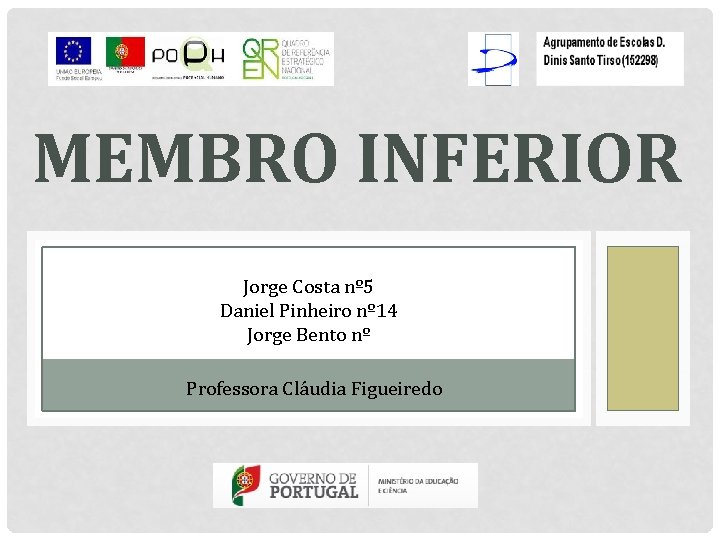 MEMBRO INFERIOR Jorge Costa nº 5 Daniel Pinheiro nº 14 Jorge Bento nº Professora