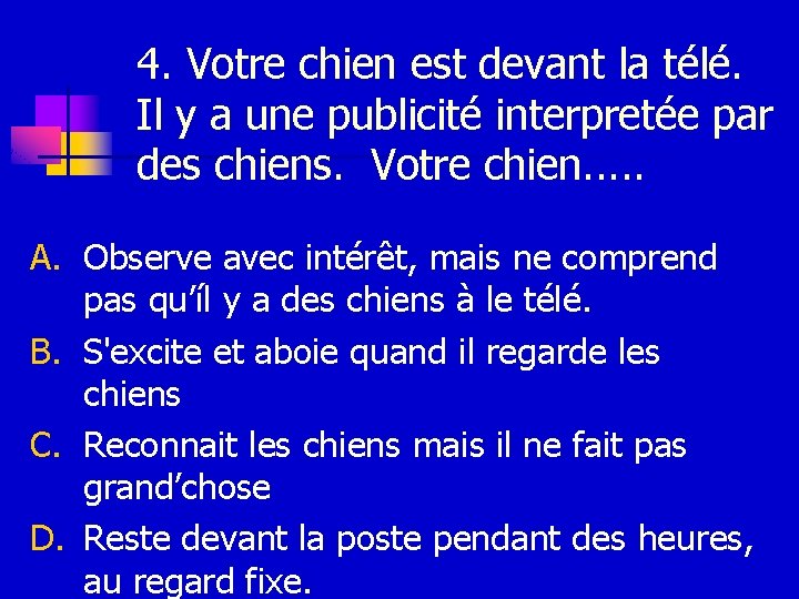 4. Votre chien est devant la télé. Il y a une publicité interpretée par