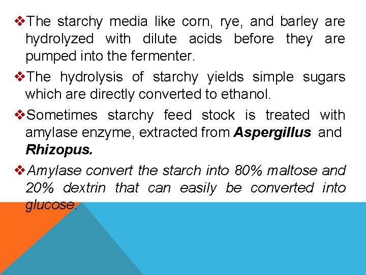 v. The starchy media like corn, rye, and barley are hydrolyzed with dilute acids