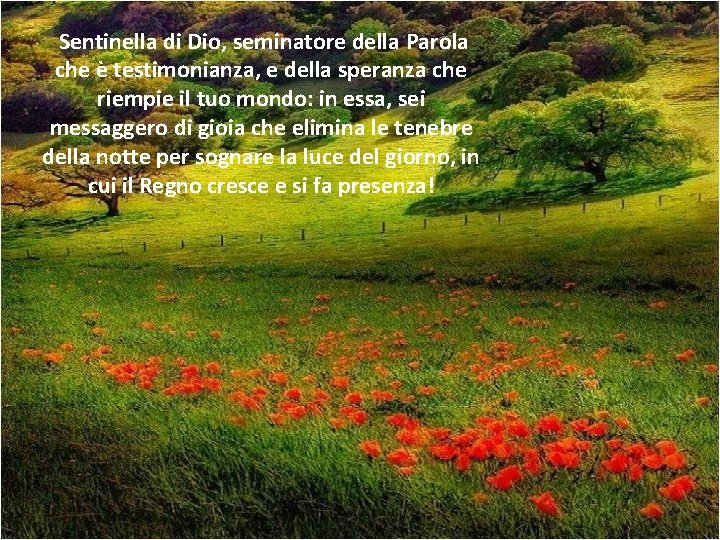  Sentinella di Dio, seminatore della Parola che è testimonianza, e della speranza che