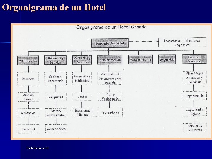 Organigrama de un Hotel Prof. Elena Landi 