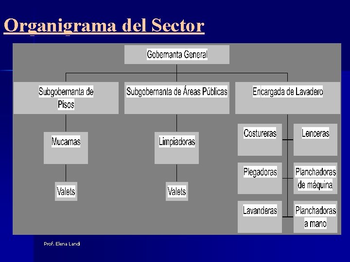 Organigrama del Sector Prof. Elena Landi 