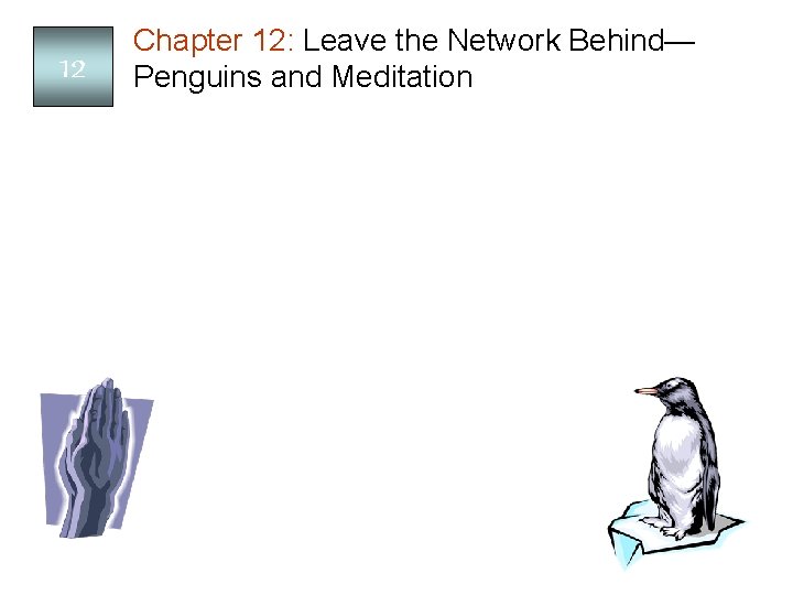 12 Chapter 12: Leave the Network Behind— Penguins and Meditation 