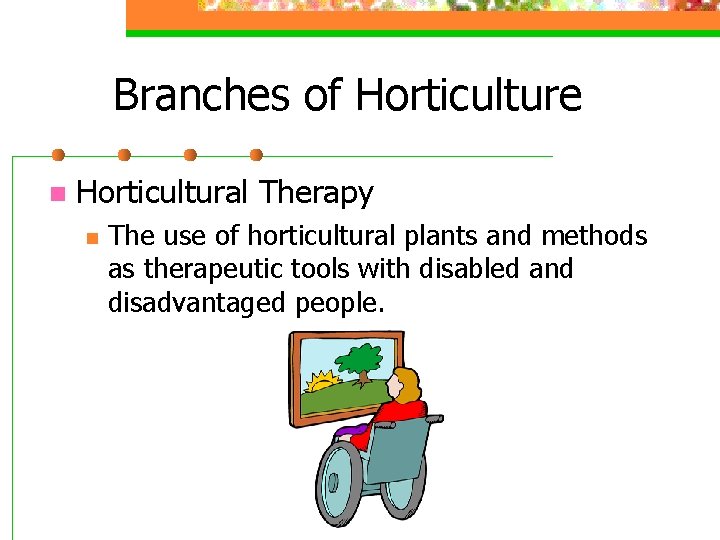 Branches of Horticulture n Horticultural Therapy n The use of horticultural plants and methods