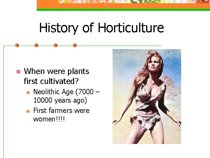 History of Horticulture n When were plants first cultivated? n n Neolithic Age (7000