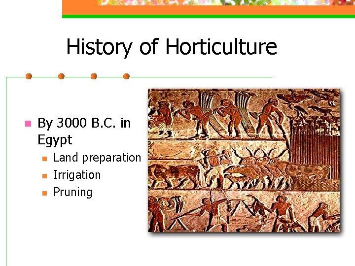 History of Horticulture n By 3000 B. C. in Egypt n n n Land