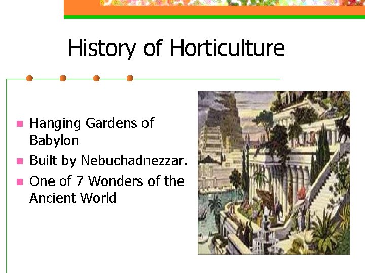 History of Horticulture n n n Hanging Gardens of Babylon Built by Nebuchadnezzar. One