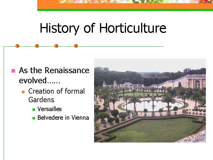 History of Horticulture n As the Renaissance evolved…… n Creation of formal Gardens n