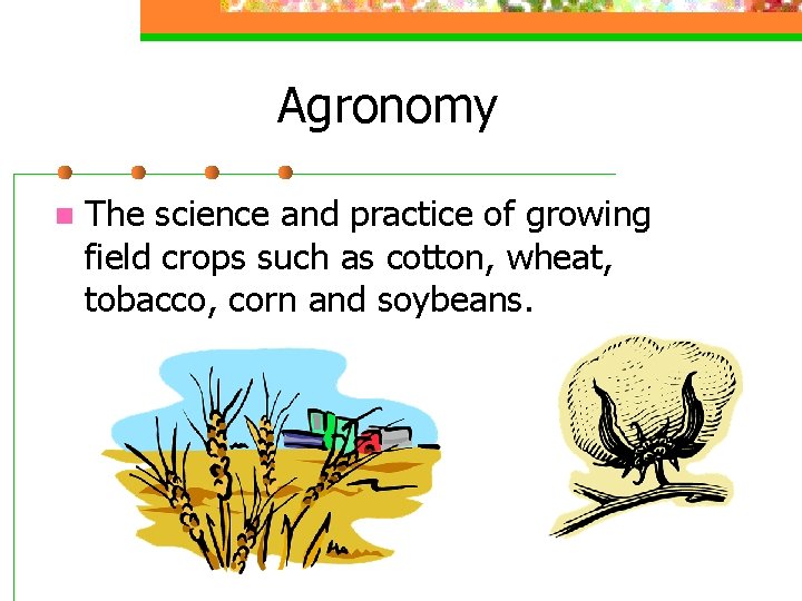 Agronomy n The science and practice of growing field crops such as cotton, wheat,