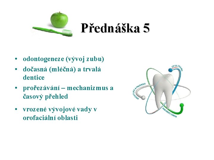  Přednáška 5 • odontogeneze (vývoj zubu) • dočasná (mléčná) a trvalá dentice •