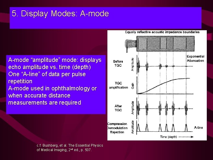 5. Display Modes: A-mode “amplitude” mode: displays echo amplitude vs. time (depth) One “A-line”