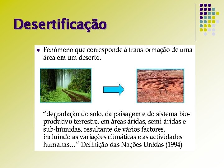 Desertificação 