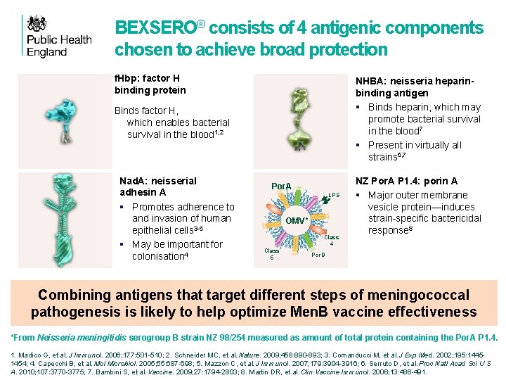 BEXSERO® consists of 4 antigenic components chosen to achieve broad protection f. Hbp: factor