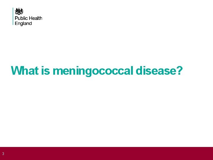  3 What is meningococcal disease? 