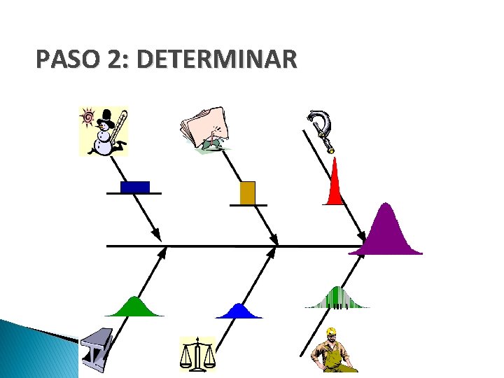 PASO 2: DETERMINAR www. themegallery. com 