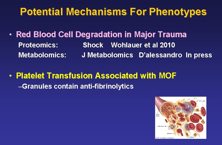 Potential Mechanisms For Phenotypes • Red Blood Cell Degradation in Major Trauma Proteomics: Shock