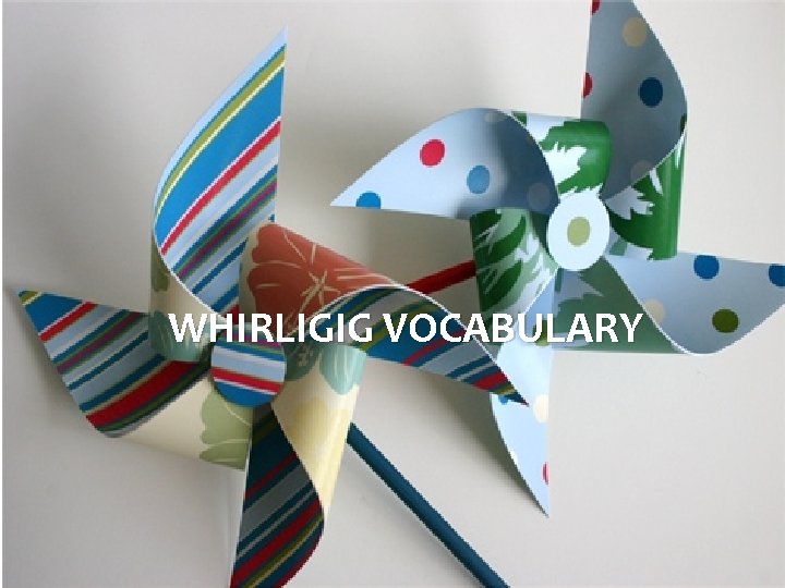 WHIRLIGIG VOCABULARY 