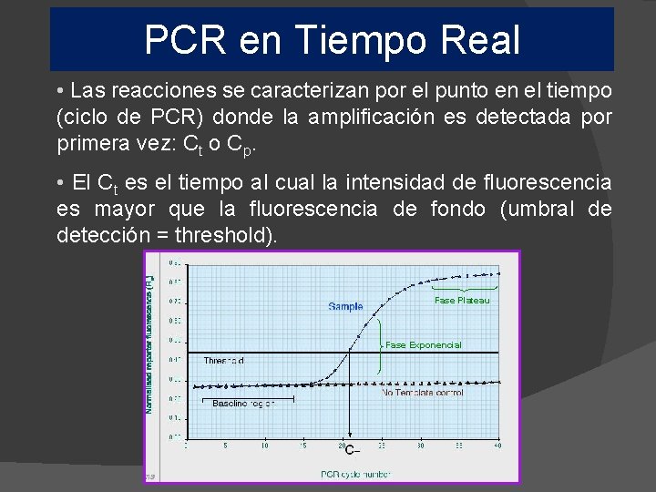 PCR en Tiempo Real • Las reacciones se caracterizan por el punto en el