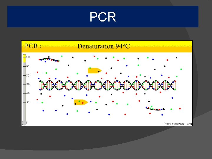 PCR 