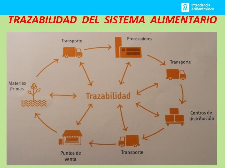 TRAZABILIDAD DEL SISTEMA ALIMENTARIO 