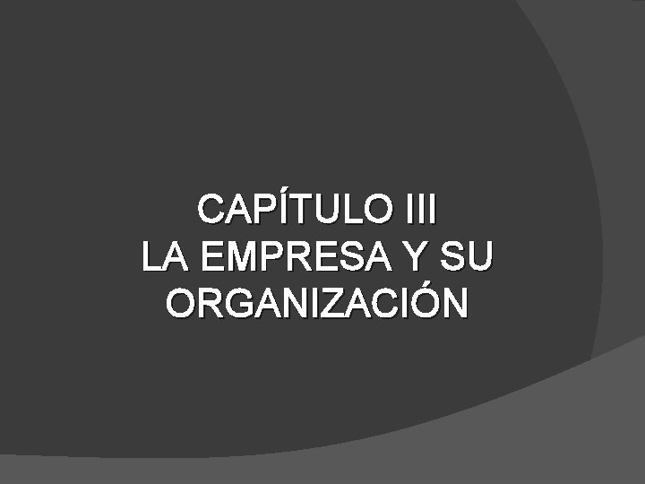 CAPÍTULO III LA EMPRESA Y SU ORGANIZACIÓN 