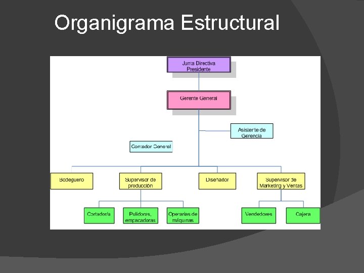 Organigrama Estructural 