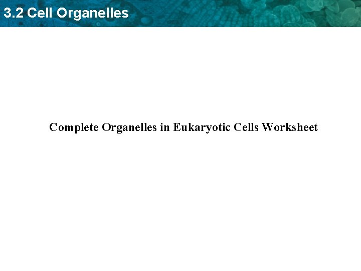 3. 2 Cell Organelles Complete Organelles in Eukaryotic Cells Worksheet 