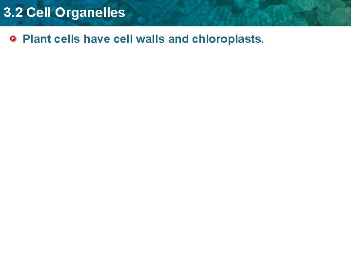 3. 2 Cell Organelles Plant cells have cell walls and chloroplasts. 
