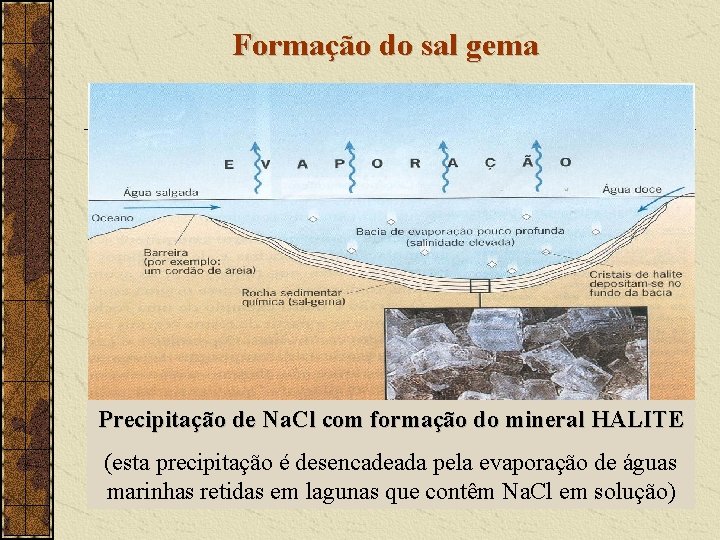 Formação do sal gema Precipitação de Na. Cl com formação do mineral HALITE (esta