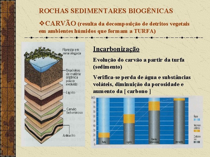 ROCHAS SEDIMENTARES BIOGÉNICAS v. CARVÃO (resulta da decomposição de detritos vegetais em ambientes húmidos
