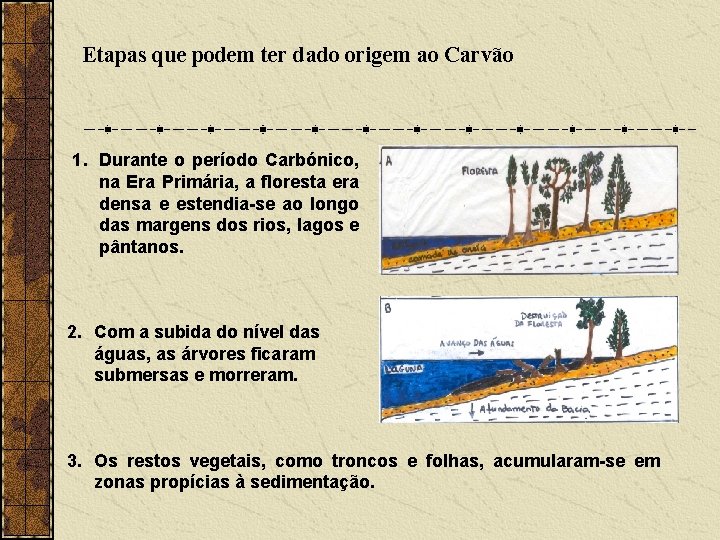 Etapas que podem ter dado origem ao Carvão 1. Durante o período Carbónico, na